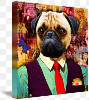 Puppy - Pug Puppy Dog Breed Companion Dog Toy Dog PNG