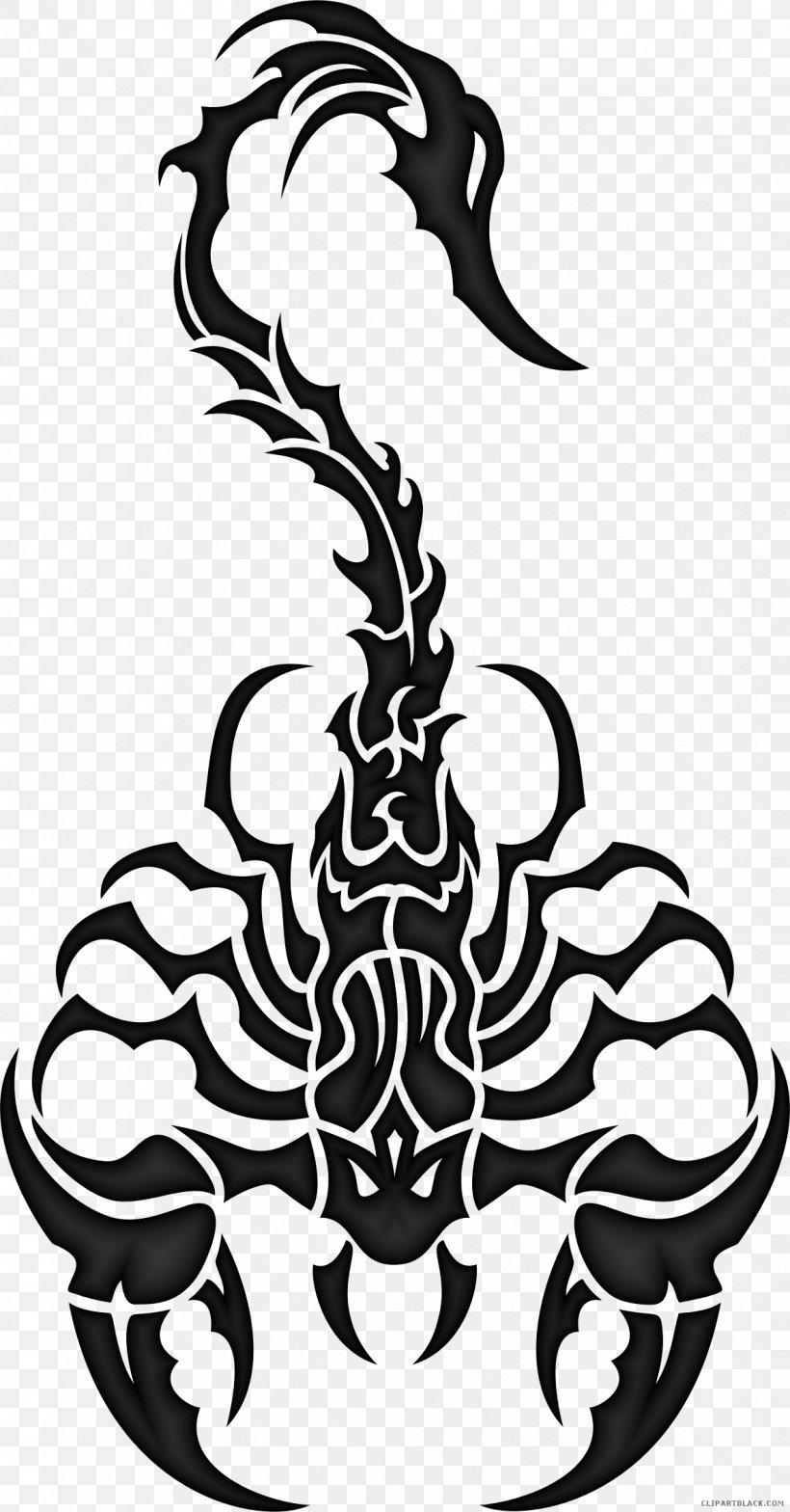 Scorpion Vector Graphics Clip Art Image, PNG, 1188x2272px, Scorpion, Black And White, Drawing, Fictional Character, Invertebrate Download Free