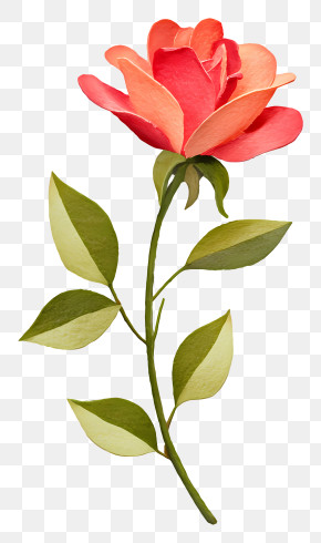 Single Pink Rose Stem PNG