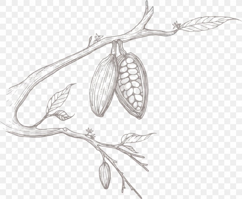 Sketch Product Design Flower Plant Stem, PNG, 2900x2383px, Flower, Artwork, Black And White, Branch, Drawing Download Free