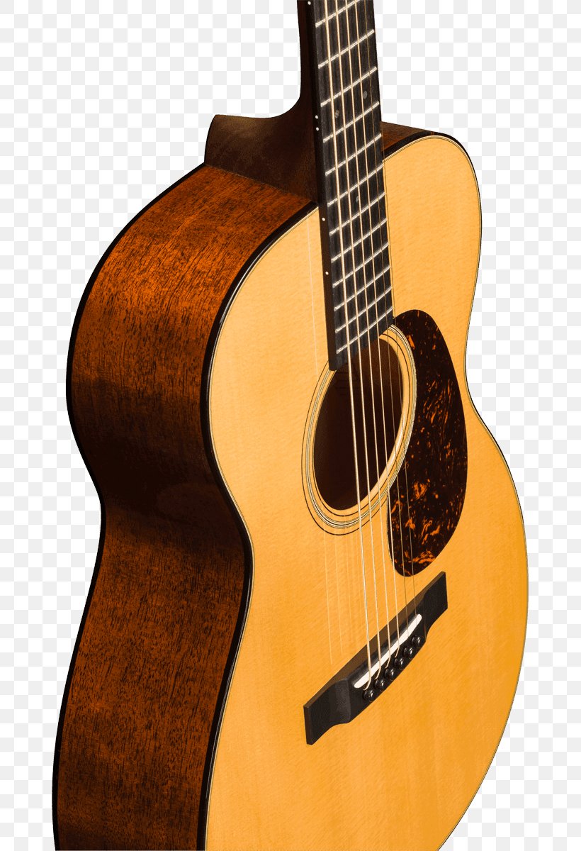 Acoustic Guitar Tiple Amazon.com Cavaquinho Martin D-28, PNG, 673x1200px, Watercolor, Cartoon, Flower, Frame, Heart Download Free