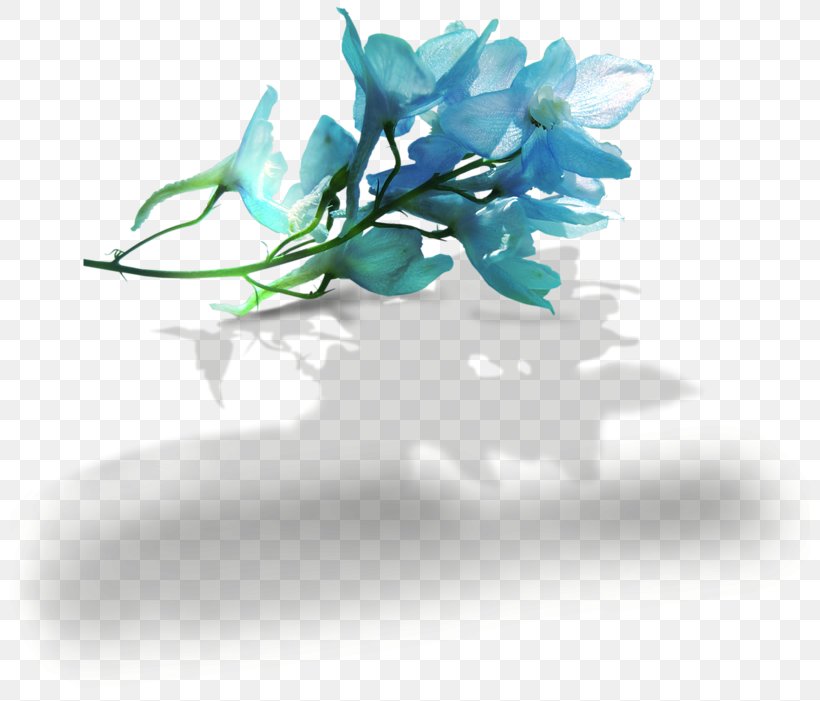 Clip Art Image Blue Flower, PNG, 800x701px, Blue, Aqua, Blue Flower, Branch, Flower Download Free