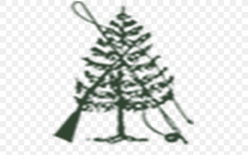 Fir Spruce Christmas Tree Christmas Ornament, PNG, 512x512px, Fir, Black And White, Branch, Christmas, Christmas Decoration Download Free