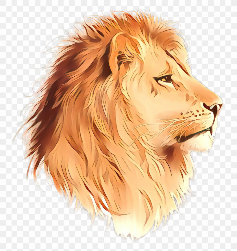 Lion Hair Masai Lion Wildlife Head, PNG, 1944x2060px, Lion, Drawing, Fur, Hair, Head Download Free