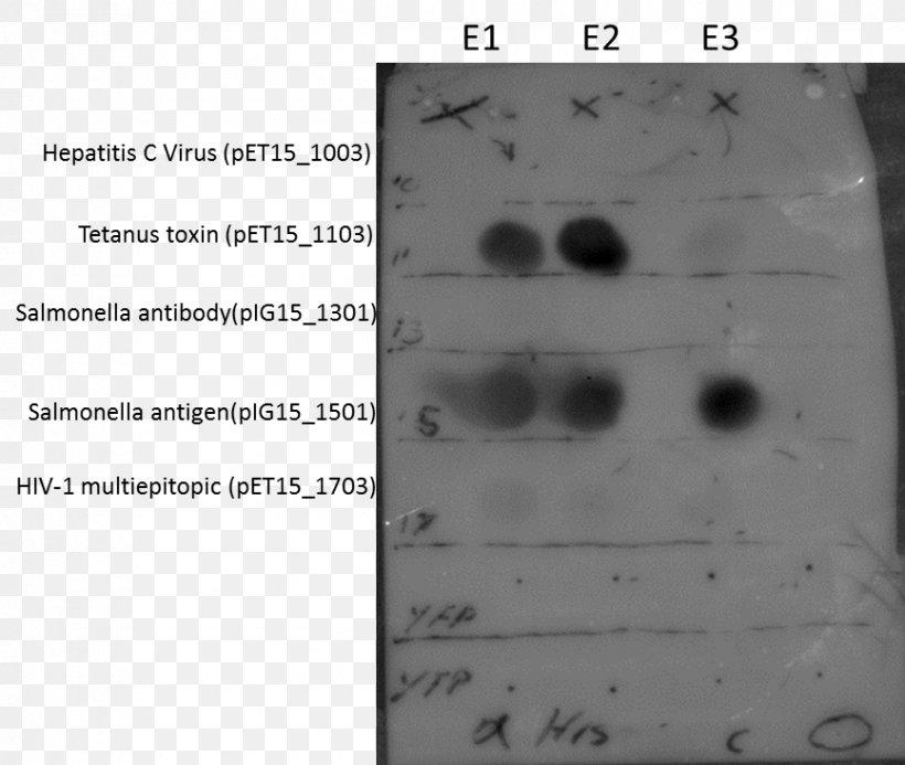 Document Dot Blot Line Angle, PNG, 866x732px, Document, Antihistamine, Black And White, Blot, Diagram Download Free