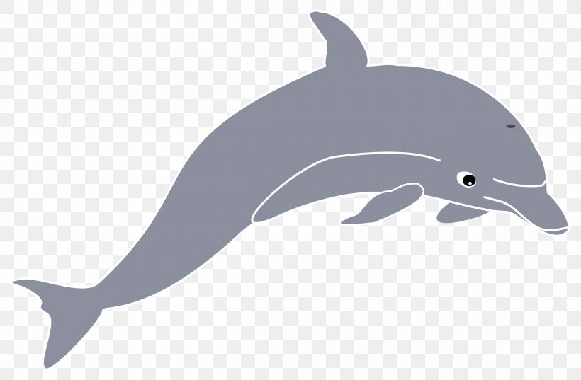 Dolphin Clip Art, PNG, 2400x1573px, Dolphin, Beak, Blog, Cetacea, Common Bottlenose Dolphin Download Free