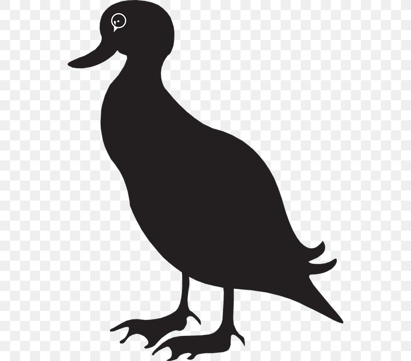 Duck Mallard Goose Clip Art, PNG, 550x720px, Duck, American Black Duck, American Pekin, Beak, Bird Download Free