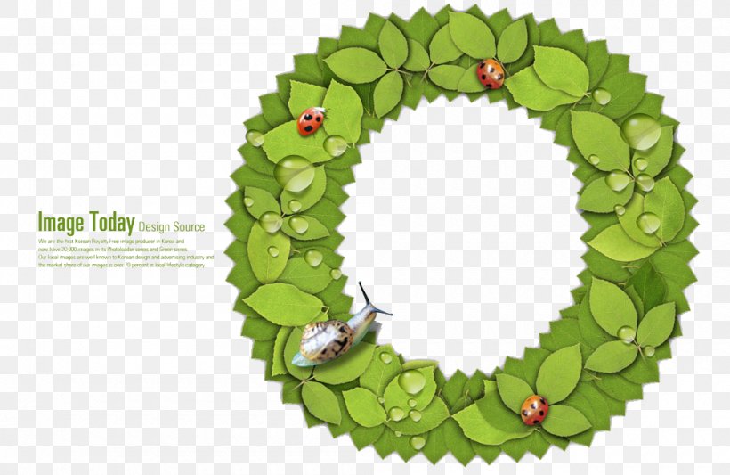 English Alphabet O Letter All Caps, PNG, 1000x650px, English Alphabet, Alphabet, English, Flora, Floral Design Download Free