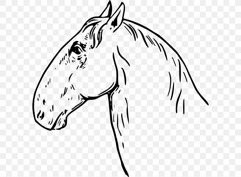 Mustang Arabian Horse Horses Clip Art, PNG, 600x601px, Mustang, Arabian Horse, Artwork, Beak, Black Download Free
