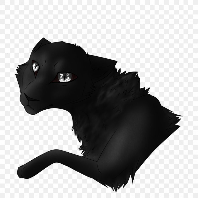 Whiskers Cat Dog Snout Canidae, PNG, 894x894px, Whiskers, Big Cats, Black, Black Cat, Black M Download Free
