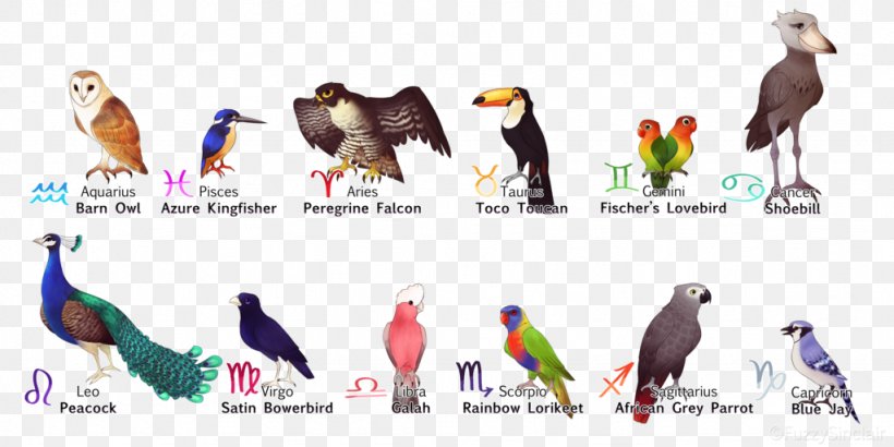 Eagle Bird Zodiac Beak Astrological Sign, PNG, 1024x512px, 6 October, Eagle, Advertising, Animal, Art Download Free