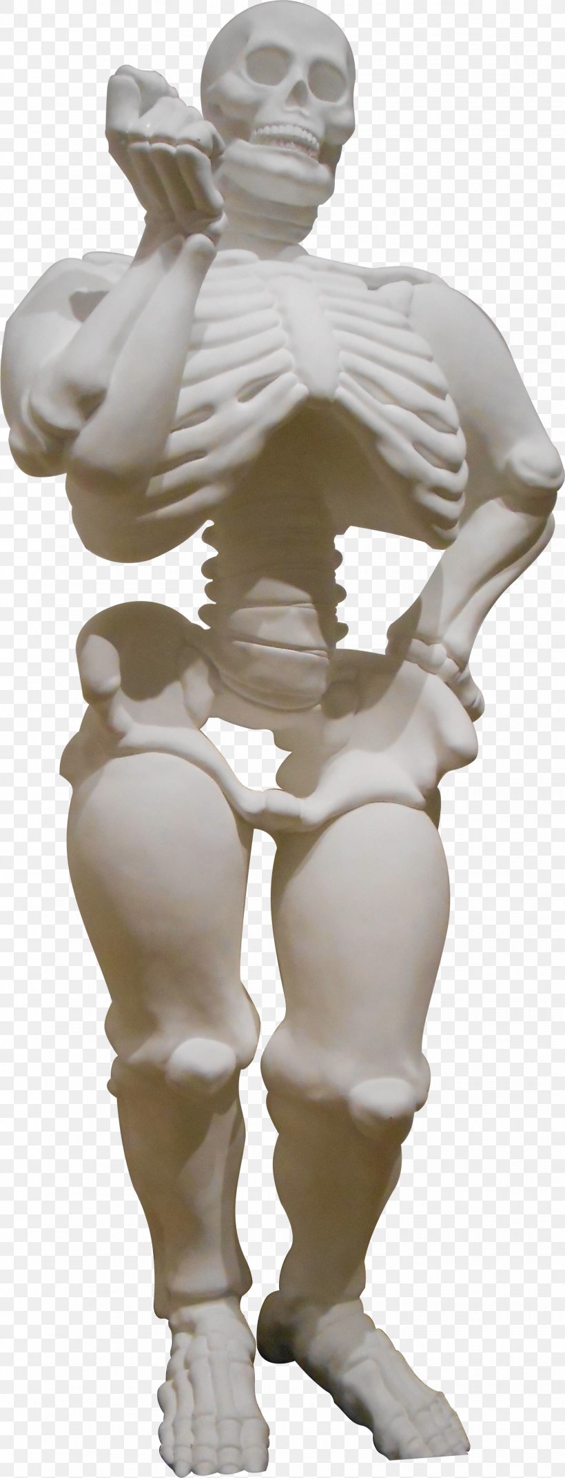 Human Skeleton Bone Human Body Figurine, PNG, 1622x4238px, Watercolor, Cartoon, Flower, Frame, Heart Download Free