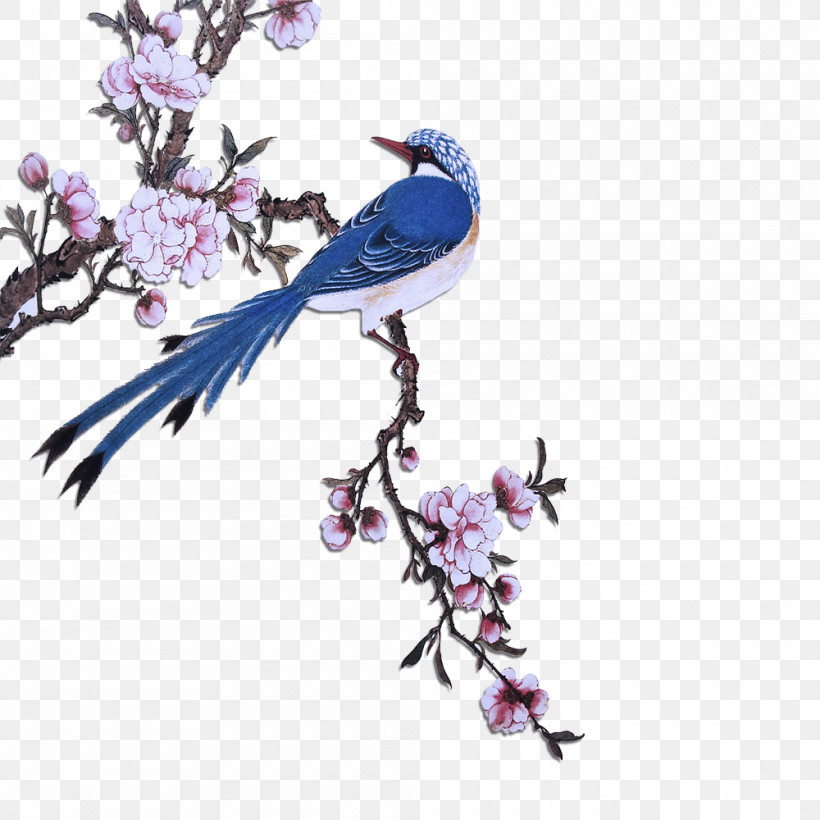 Bird Mountain Bluebird Branch Bluebird Eastern Bluebird, PNG, 1000x1000px, Bird, Beak, Blossom, Bluebird, Branch Download Free