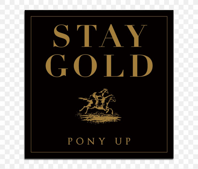 Pony Up, PNG, 1140x975px, Gold, Brand, Compact Disc, Gold Compact Disc, Import Download Free