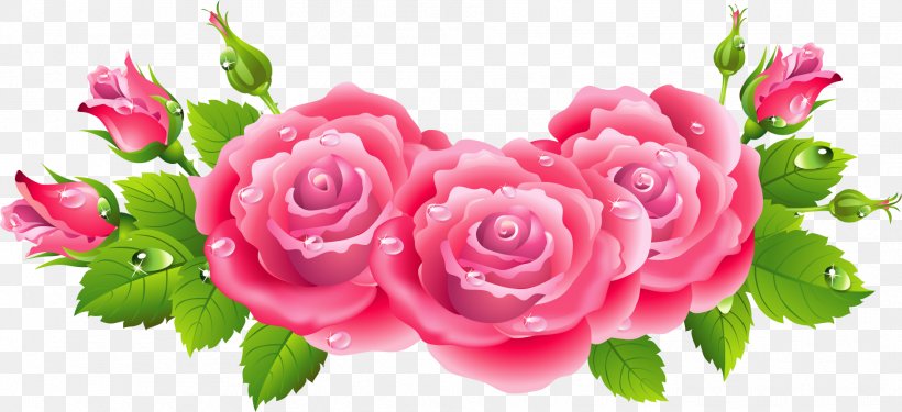 Rose Drawing Flower, PNG, 1881x861px, Rose, Cut Flowers, Drawing, Floral Design, Floristry Download Free