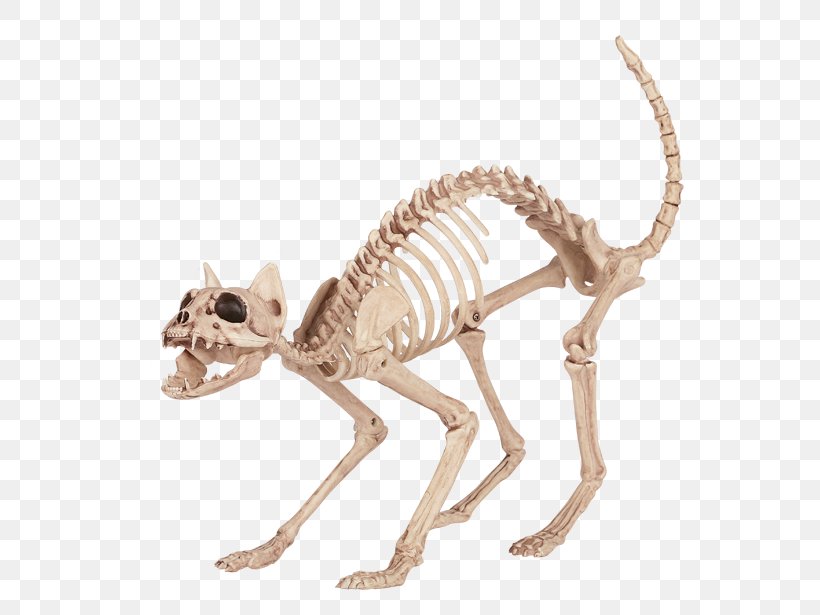 Cat Litter Trays Skeleton Bone Tail, PNG, 650x615px, Cat, Amazoncom, Animal Figure, Bone, Carnivoran Download Free