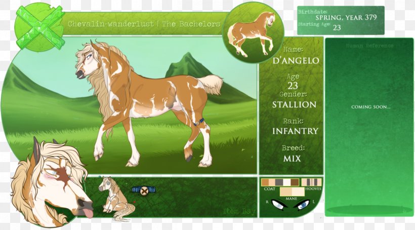 Dartmoor Pony Foal Mare Mustang, PNG, 1201x665px, Pony, American Paint Horse, Colt, Dartmoor Pony, Equestrian Download Free