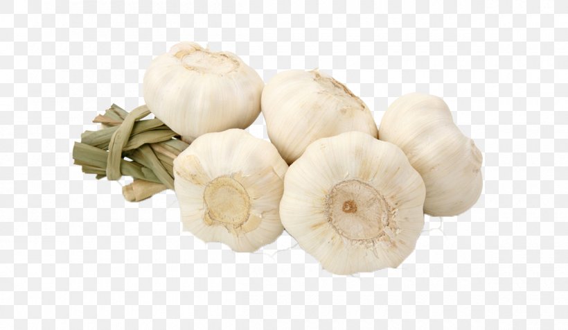 Garlic World Food Vegetable Allicin, PNG, 1200x698px, Garlic, Allicin, Aroma, Black Garlic, Export Download Free