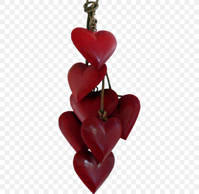 Happy Heart Image Photograph, PNG, 338x800px, Heart, Art, Flower, Happy Heart, Love Download Free