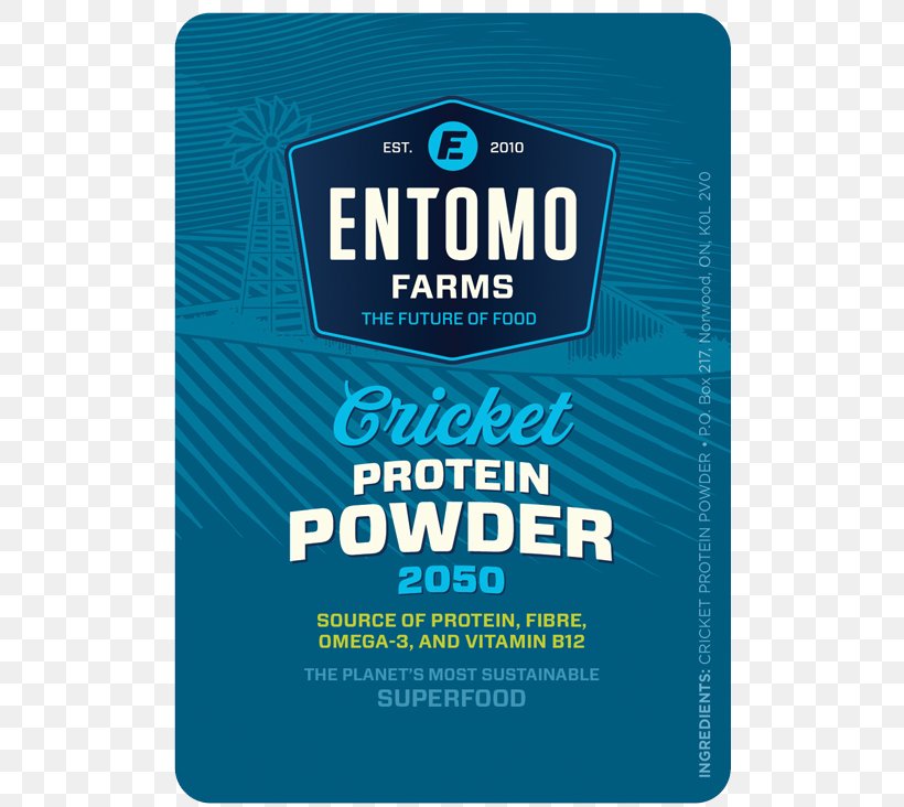 Insect Cricket Flour Entomophagy Food, PNG, 603x732px, Insect, Brand, Cricket, Cricket Flour, Eating Download Free