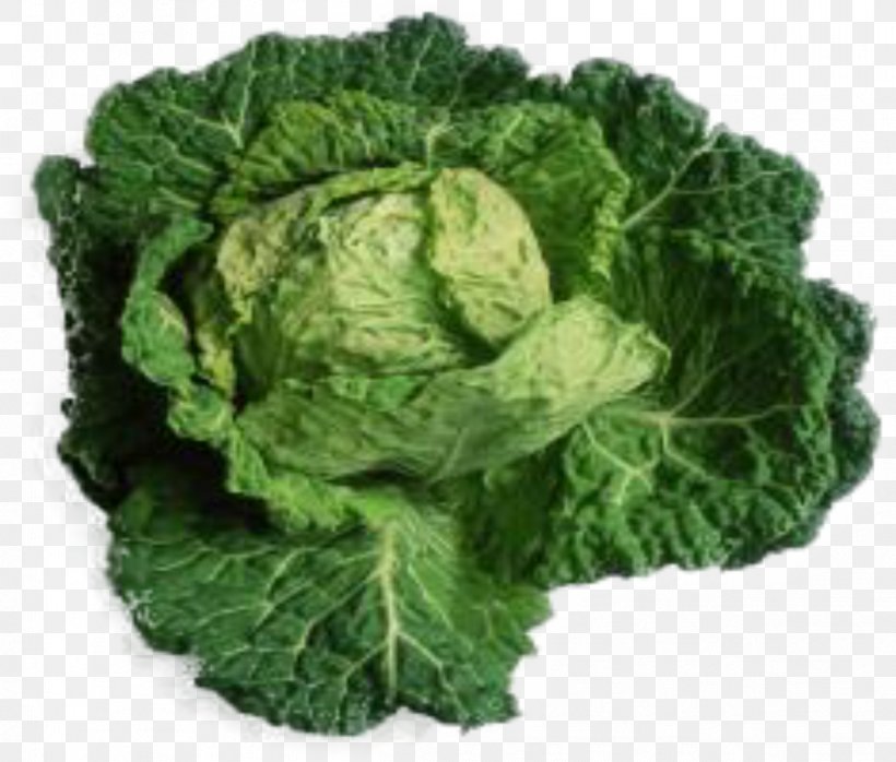 Savoy Cabbage Collard Greens Spring Greens Cabbage Roll, PNG, 1213x1033px, Savoy Cabbage, Brassica Oleracea, Cabbage, Cabbage Roll, Collard Greens Download Free