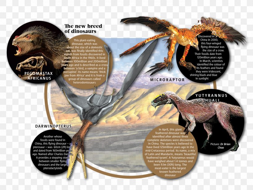 Science Comics: Dinosaurs: Fossils And Feathers Cretaceous–Paleogene Extinction Event Science Comics: Dogs: From Predator To Protector, PNG, 1380x1038px, Dinosaur, Comics, Cretaceous, Fauna, Fossil Download Free