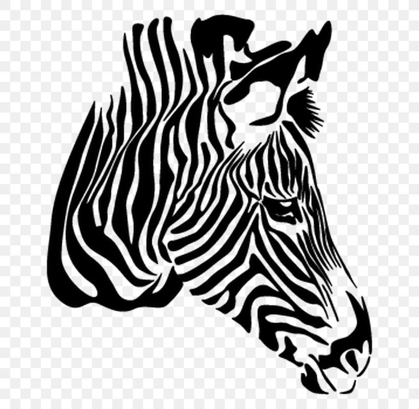 Zebra Vector Graphics Drawing Illustration Image, PNG, 800x800px, Zebra, Animal, Art, Black, Black And White Download Free