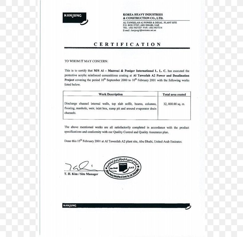 Document Line Brand, PNG, 800x800px, Document, Area, Brand, Diagram, Paper Download Free