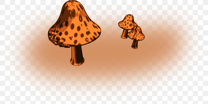 Mushroom Fungus Clip Art, PNG, 1280x644px, Mushroom, Common Mushroom, Email, Fungus, Lactarius Deliciosus Download Free