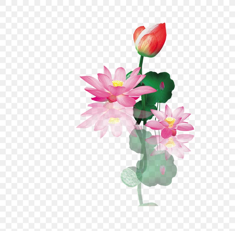 Nelumbo Nucifera Floral Design, PNG, 756x808px, Nelumbo Nucifera, Aquatic Plant, Artificial Flower, Blossom, Branch Download Free