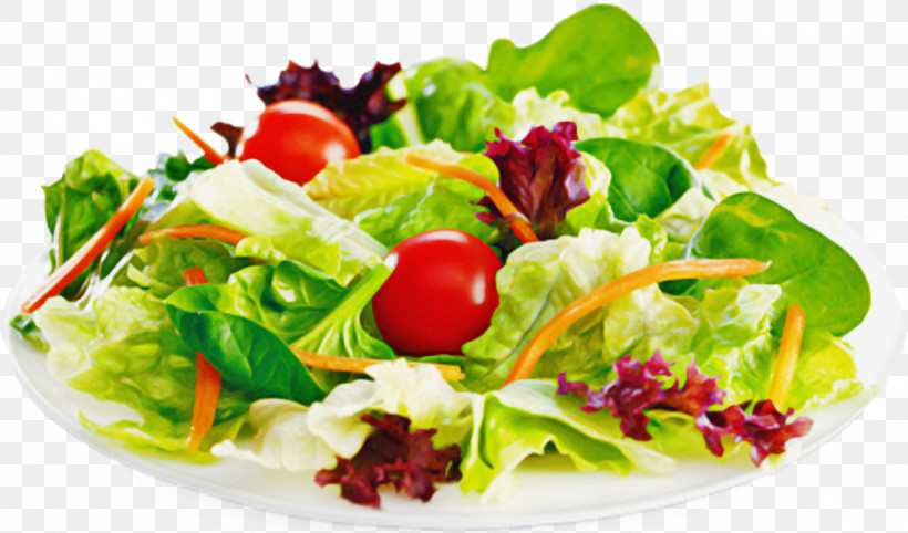Salad, PNG, 1503x884px, Salad, Garden Salad, Greek Salad, Leaf Vegetable, Lettuce Download Free
