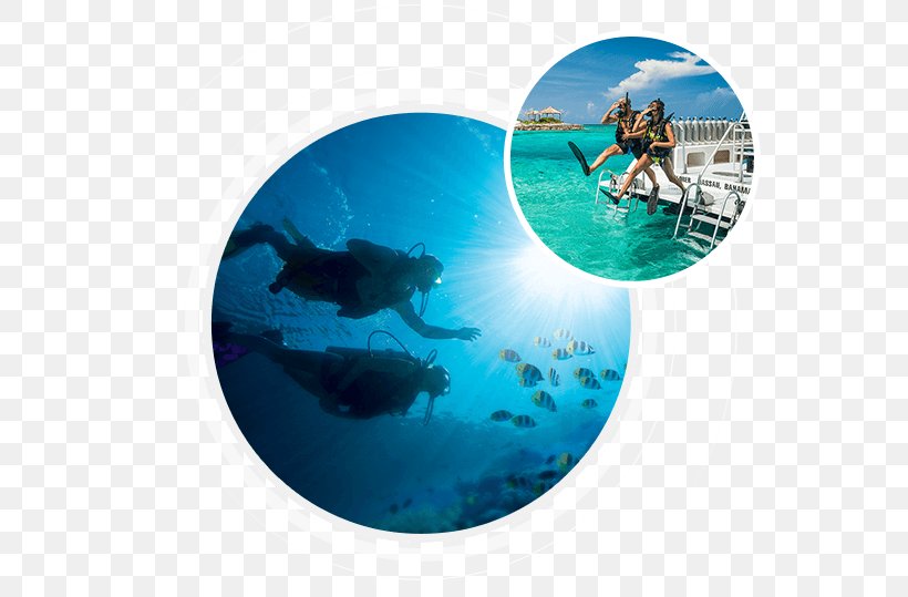 Scuba Diving Underwater Diving Scuba Set Recreational Dive Sites Wajag Island, PNG, 567x539px, Scuba Diving, Adventure, Aqua, Dive Center, Divemaster Download Free