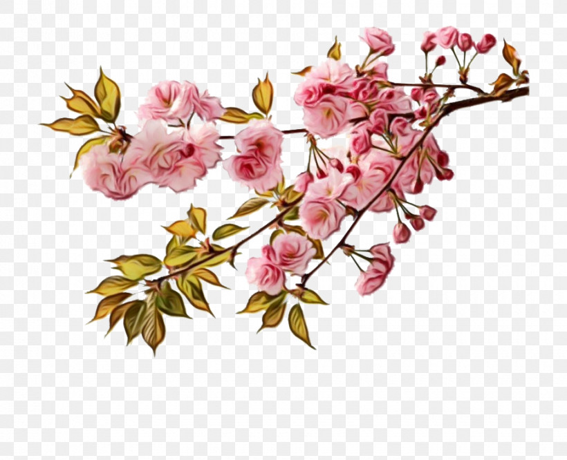 Floral Design, PNG, 920x748px, Watercolor, Blossom, Cherry Blossom, Cut Flowers, Floral Design Download Free