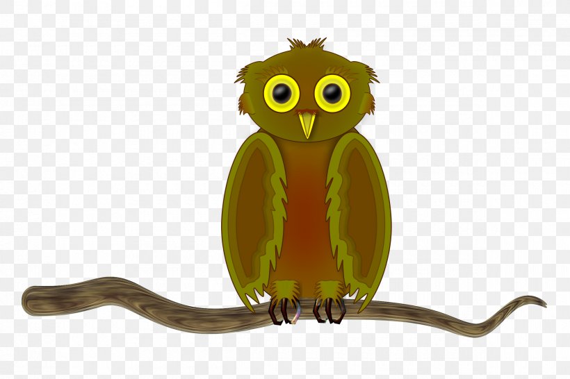 Owl Bird Of Prey Clip Art, PNG, 2400x1600px, Owl, Animal, Beak, Bird, Bird Of Prey Download Free