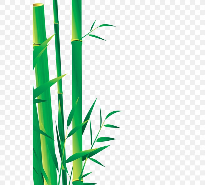 Bamboo Bamboe Icon, PNG, 1000x901px, Bamboo, Bamboe, Grass, Grass Family, Grasses Download Free