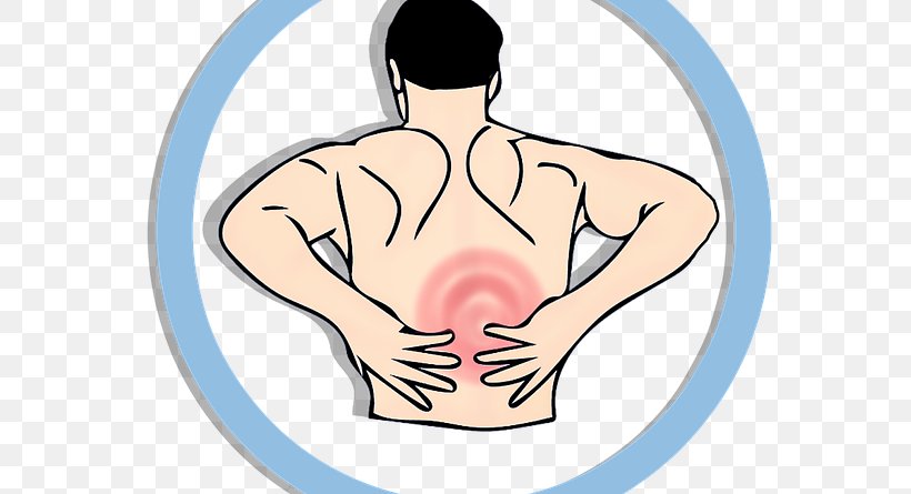 Low Back Pain Human Back Back Injury Middle Back Pain Spinal Disc Herniation, PNG, 640x445px, Watercolor, Cartoon, Flower, Frame, Heart Download Free