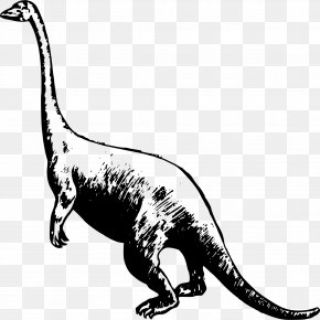Dinosaur - Tyrannosaurus Velociraptor Ankylosaurus Triceratops Deinonychus PNG