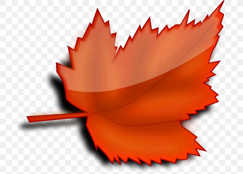 Autumn Leaf Color Clip Art, PNG, 720x587px, Autumn Leaf Color, Autumn, Document, Flower, Green Download Free