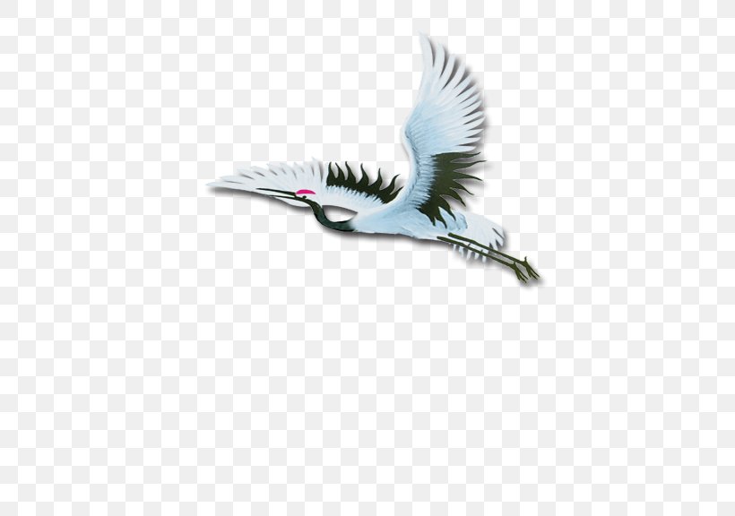 Crane Download Icon, PNG, 576x576px, Crane, Beak, Bird, Fauna, Feather Download Free