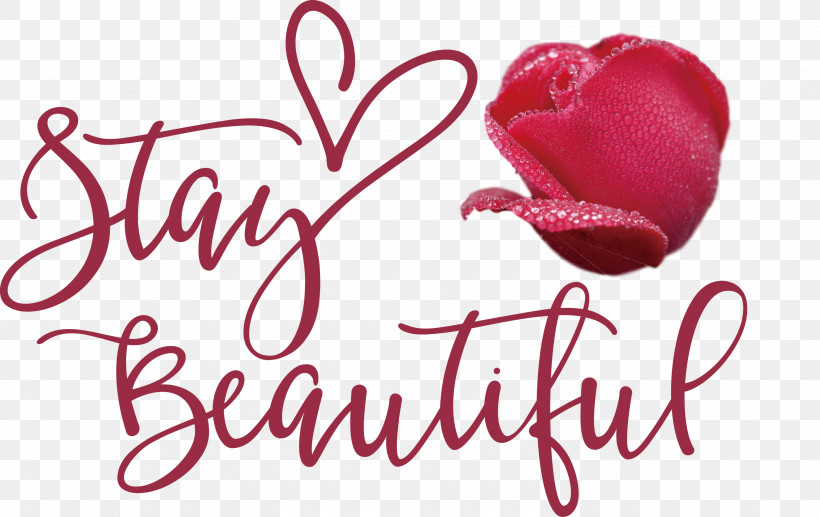 Stay Beautiful Fashion, PNG, 3000x1895px, Stay Beautiful, Biology, Cut Flowers, Fashion, Flower Download Free