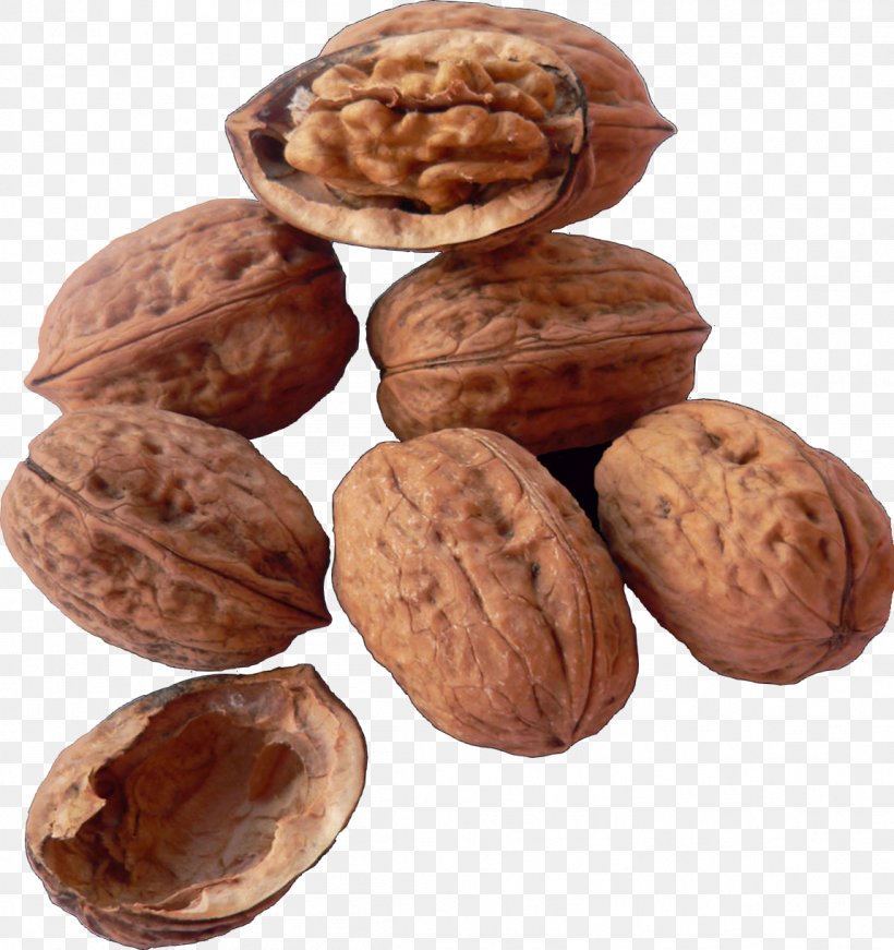 Walnut Dried Fruit Nuts, PNG, 1149x1221px, Walnut, Calorie, Commodity, Dried Fruit, Food Download Free