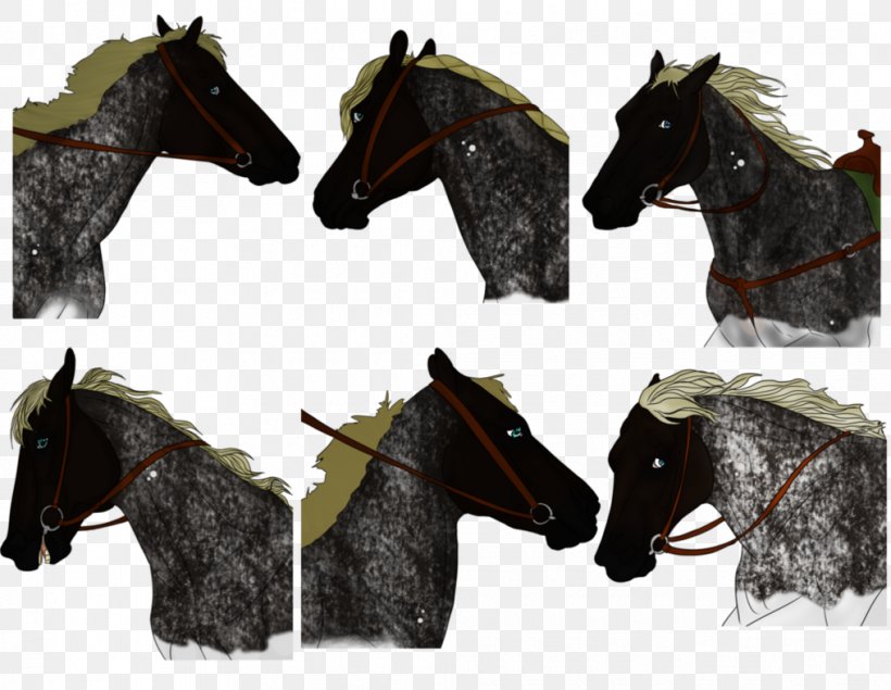 Mustang Stallion Mane Horse Tack Freikörperkultur, PNG, 1015x787px, Mustang, Horse, Horse Like Mammal, Horse Tack, Mane Download Free
