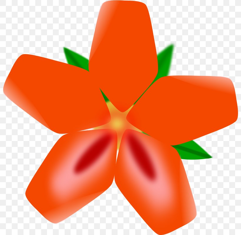 Hawaii Drawing Flower Clip Art, PNG, 800x800px, Hawaii, Animation, Cartoon, Drawing, Flower Download Free