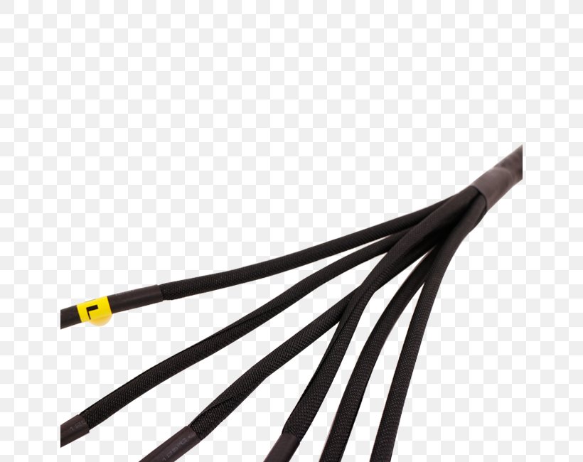 Nissan RB Engine Toyota JZ Engine Electrical Cable Ignition Coil, PNG, 650x650px, Nissan, Cable, Cable Harness, Electrical Cable, Electrical Wires Cable Download Free