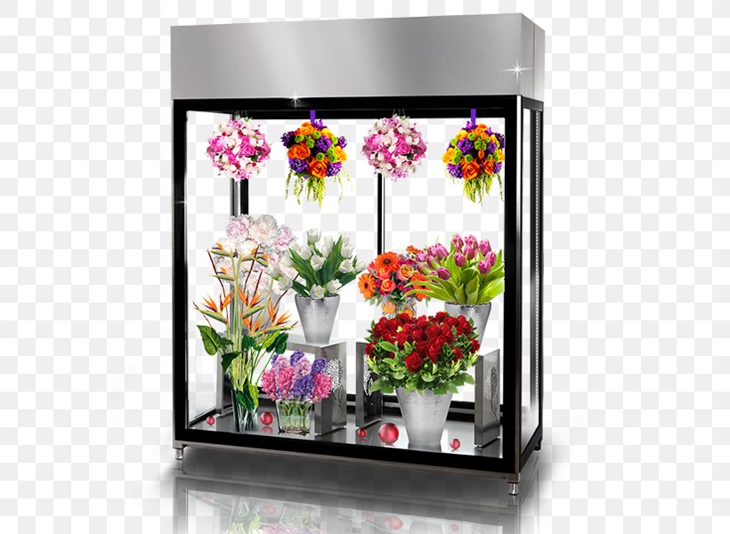 Poland Refrigerator Armoires & Wardrobes Display Window Display Case, PNG, 800x600px, Poland, Allegro, Aquarium, Armoires Wardrobes, Bookcase Download Free