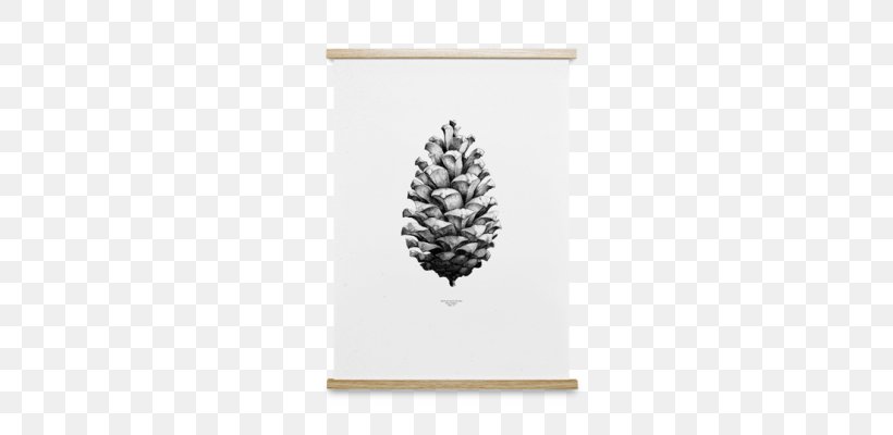 Poster Conifer Cone Coulter Pine Art, PNG, 348x400px, Poster, Art, Black And White, Cone, Conifer Cone Download Free