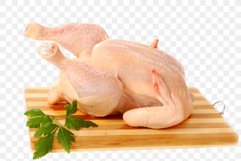 Raw Foodism Chicken As Food Meat, PNG, 1500x1004px, Raw Foodism, Animal Fat, Animal Source Foods, Beef, Chicken Download Free