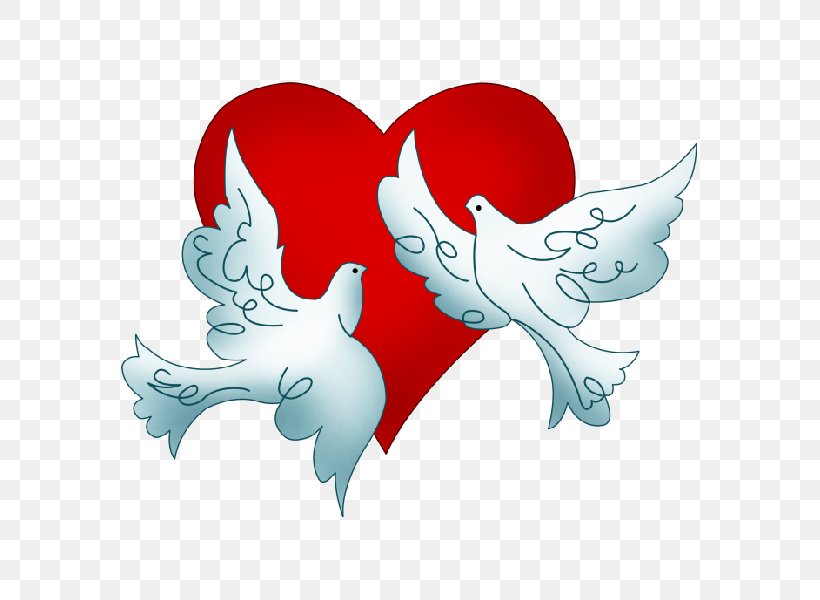 Columbidae Wedding Doves As Symbols Clip Art, PNG, 600x600px, Watercolor, Cartoon, Flower, Frame, Heart Download Free