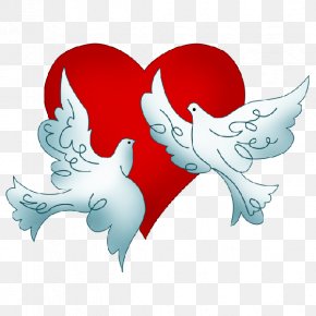 Columbidae Wedding Doves As Symbols Bird Clip Art, PNG, 600x600px ...