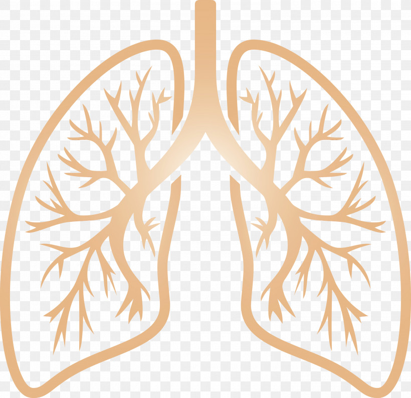 Leaf Symmetry, PNG, 3000x2904px, Lungs, Corona Virus Disease, Covid, Leaf, Paint Download Free